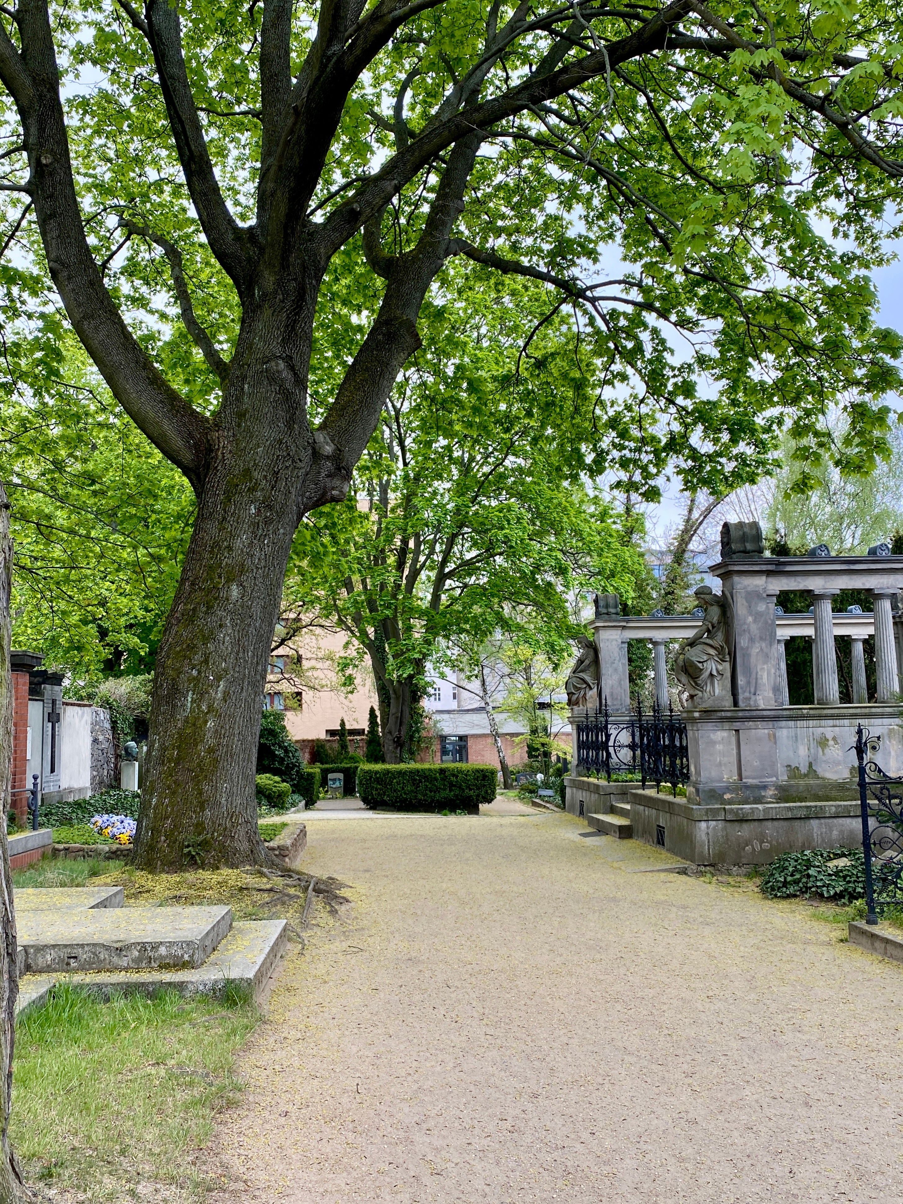 Baumbestandener Weg zwischen historischen Grabstätten auf dem Dorotheenstädtischen Friedhof